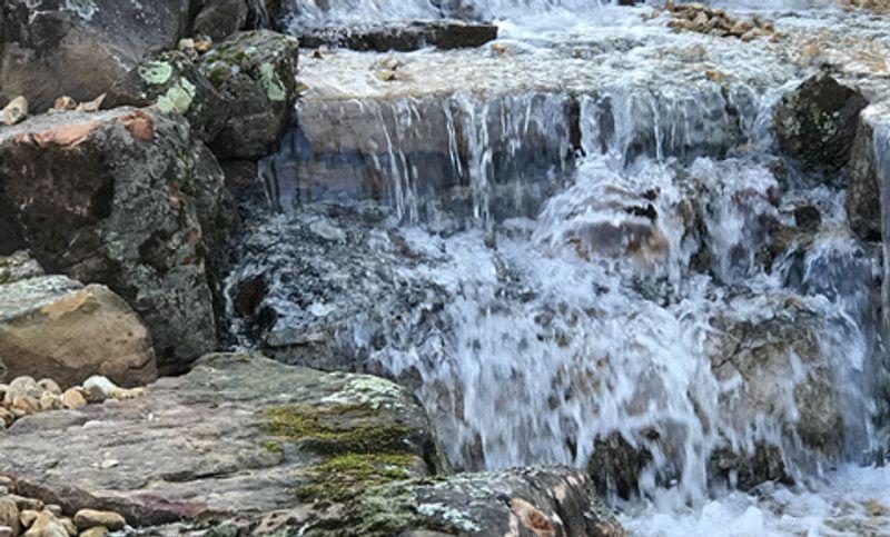 Synergy Executive Photo