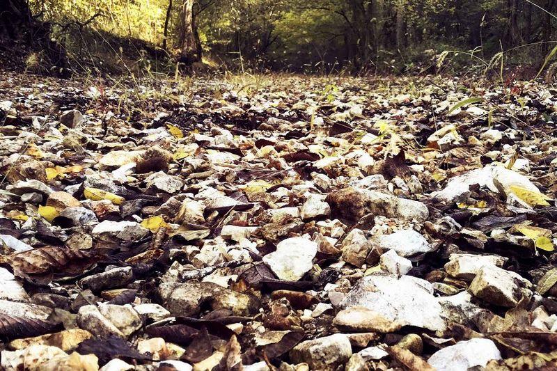 Synergy Executive Photo