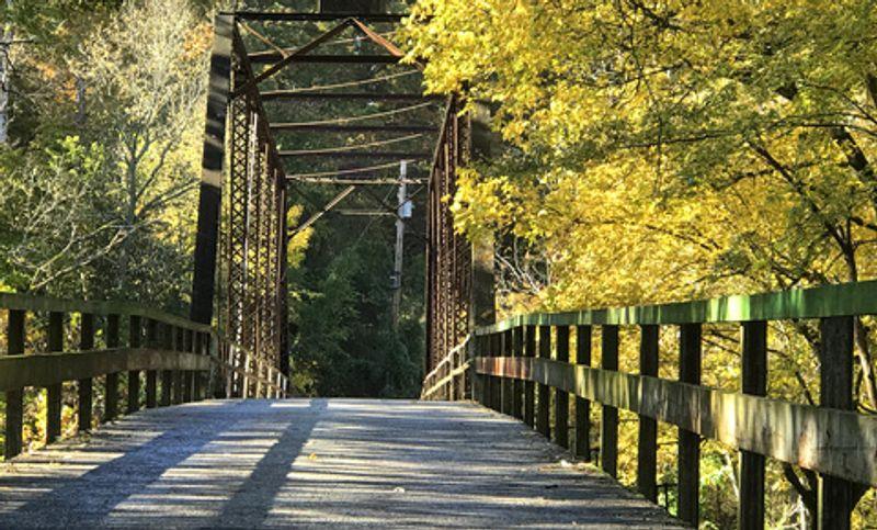 Synergy Executive Photo