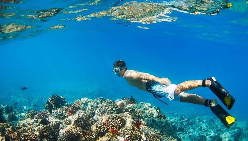 Maui Recovery Photo