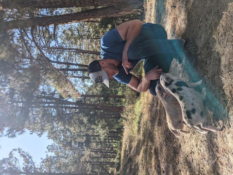 Healing Pines Recovery Photo