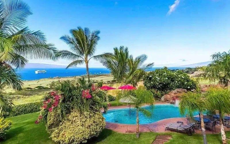 Maui Recovery Photo