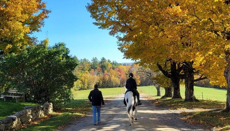 Ridge RTC for Teens - New Hampshire Photo