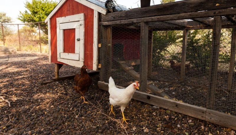 Holdfast Recovery Photo