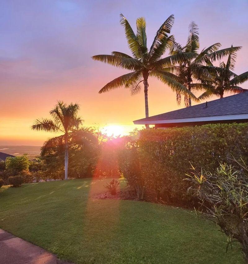Hawaii Island Recovery Photo