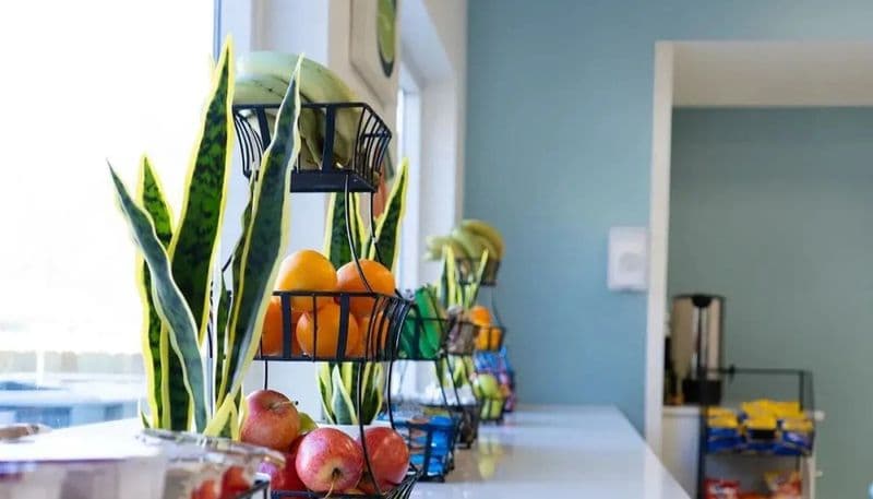 The Haven Detox - West Memphis Photo