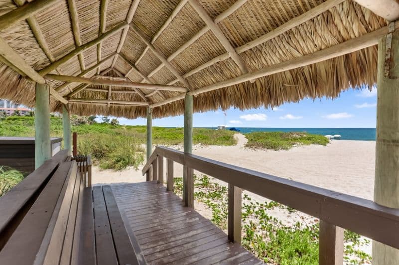 Seaside Palm Beach Photo