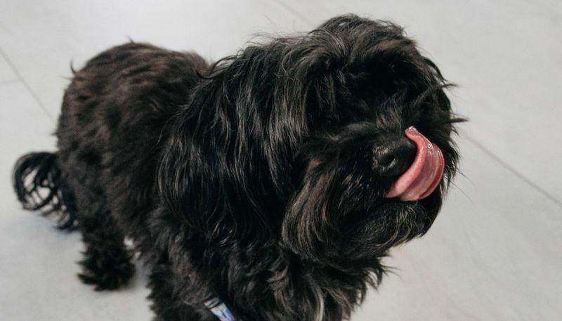 Recovery Unplugged - Mental Health Photo