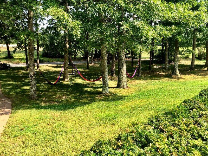 Relax in the hammocks at Enlightened Solutions
