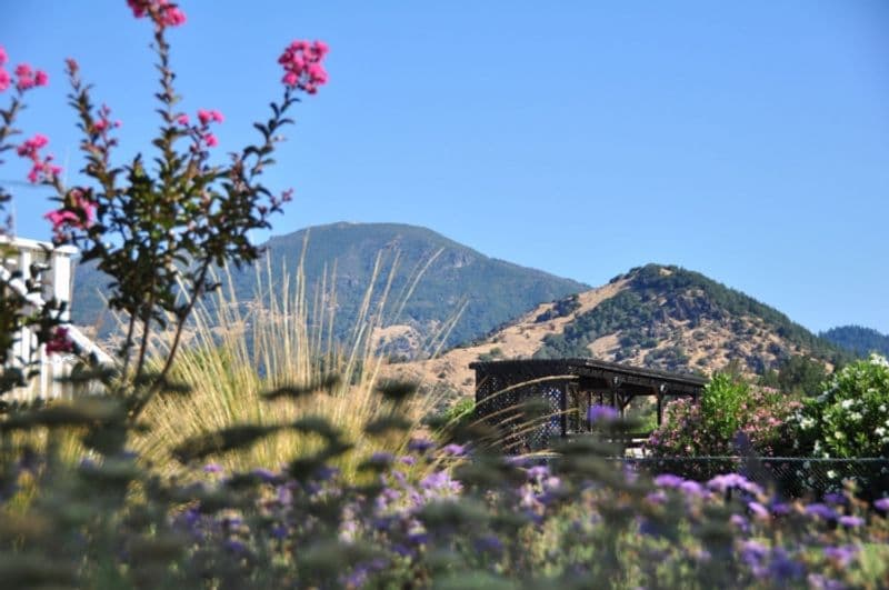 Duffy's Napa Valley Rehab Photo