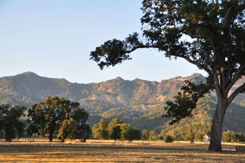 Duffy's Napa Valley Rehab Photo