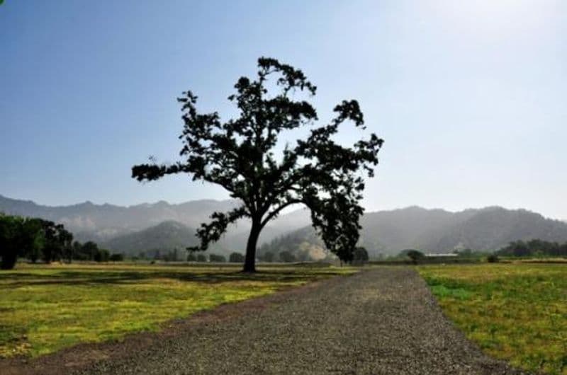 Duffy's Napa Valley Rehab Photo