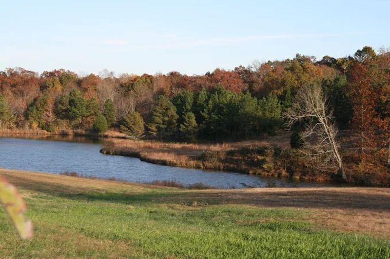 Neartown Recovery Photo